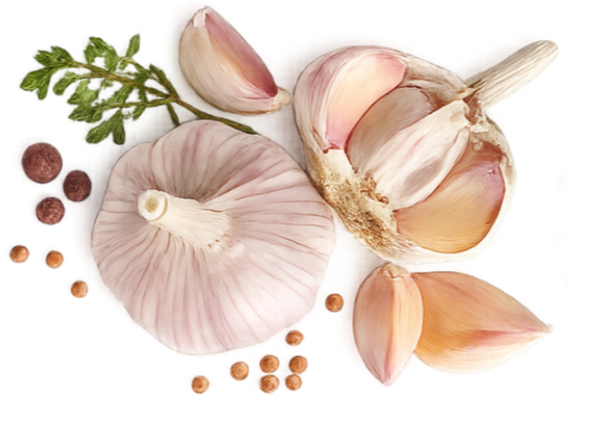 Garlic — Pure White