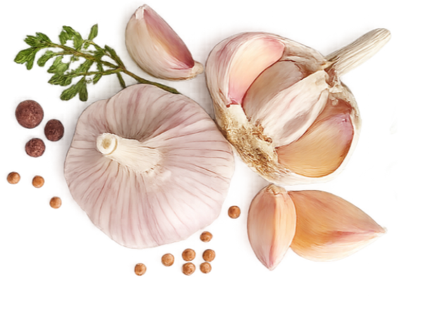 Garlic — Pure White