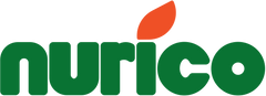 Nurico